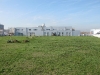 IMG_0247 (Large)
